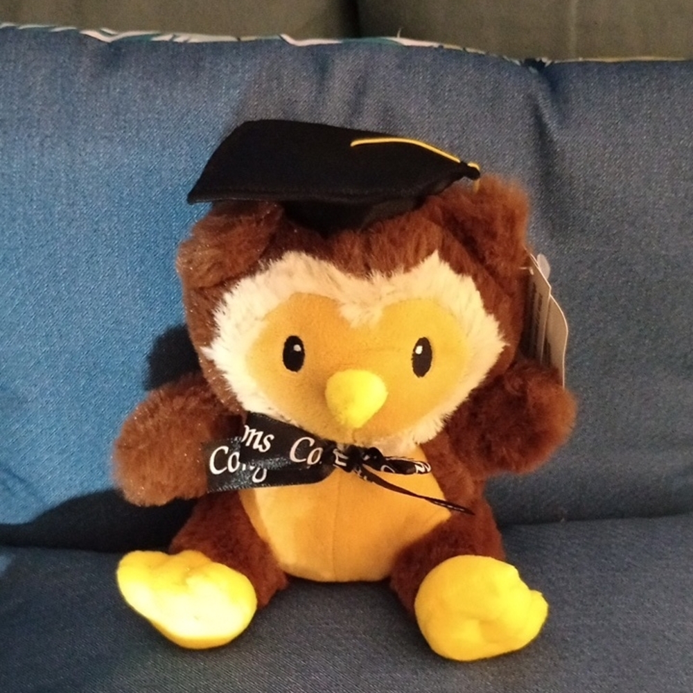 Vintage 2000 Wisest The Owl 2000 Pre-owned